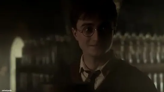 Harry Potter vine