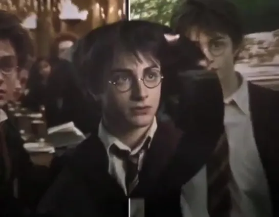 Harry Potter vine