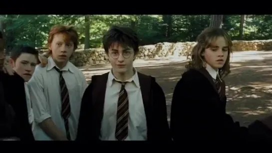 Harry Potter vine