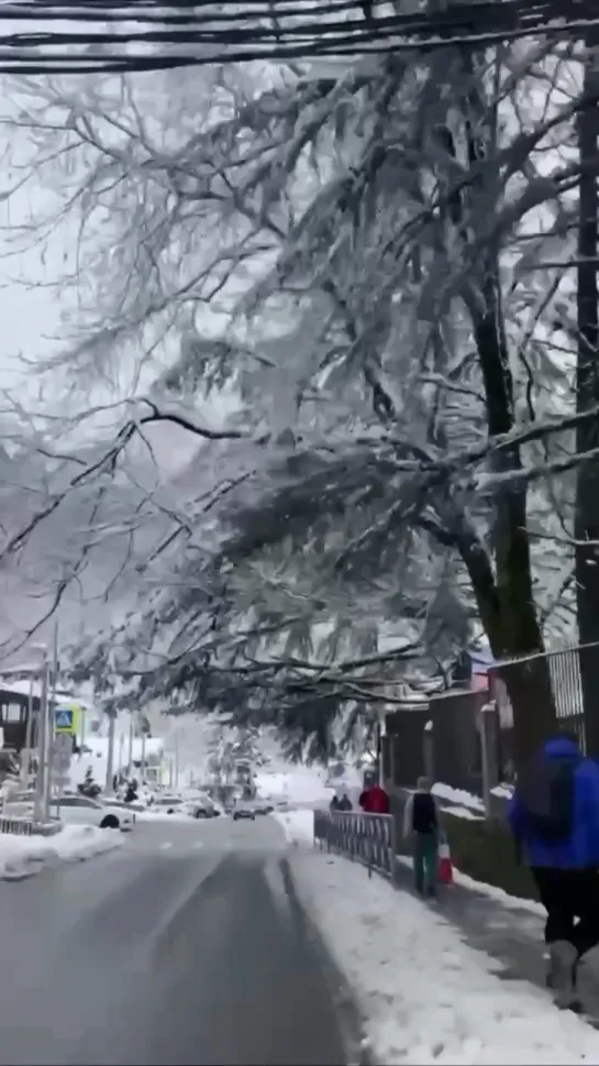 Видео от Любимый Сочи