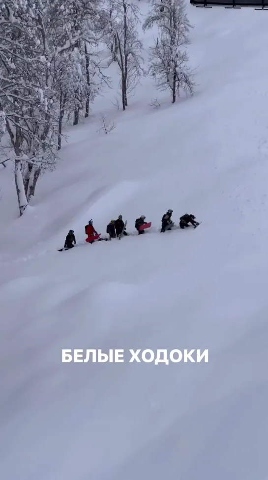 Видео от Любимый Сочи