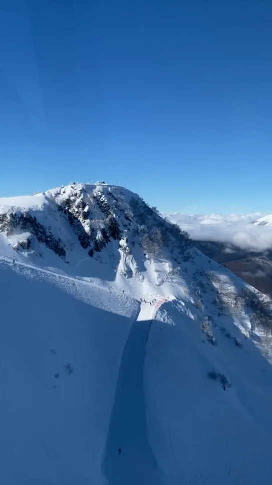 Видео от Любимый Сочи