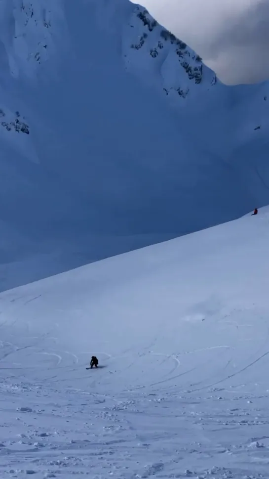 Видео от Любимый Сочи