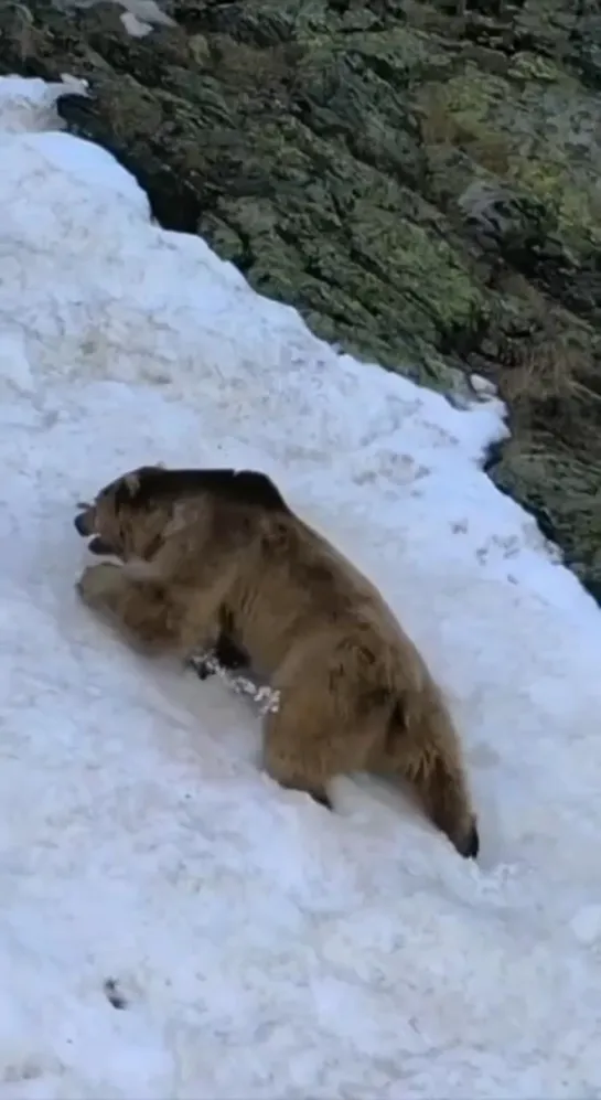 Видео от Любимый Сочи