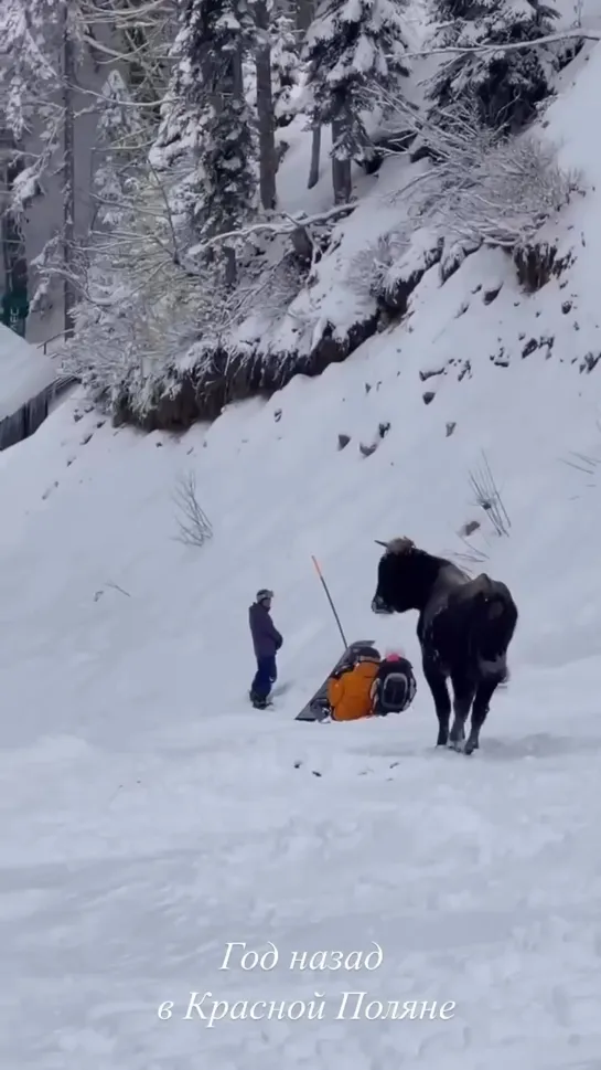 Видео от Любимый Сочи