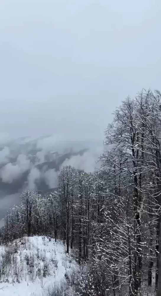 Видео от Любимый Сочи