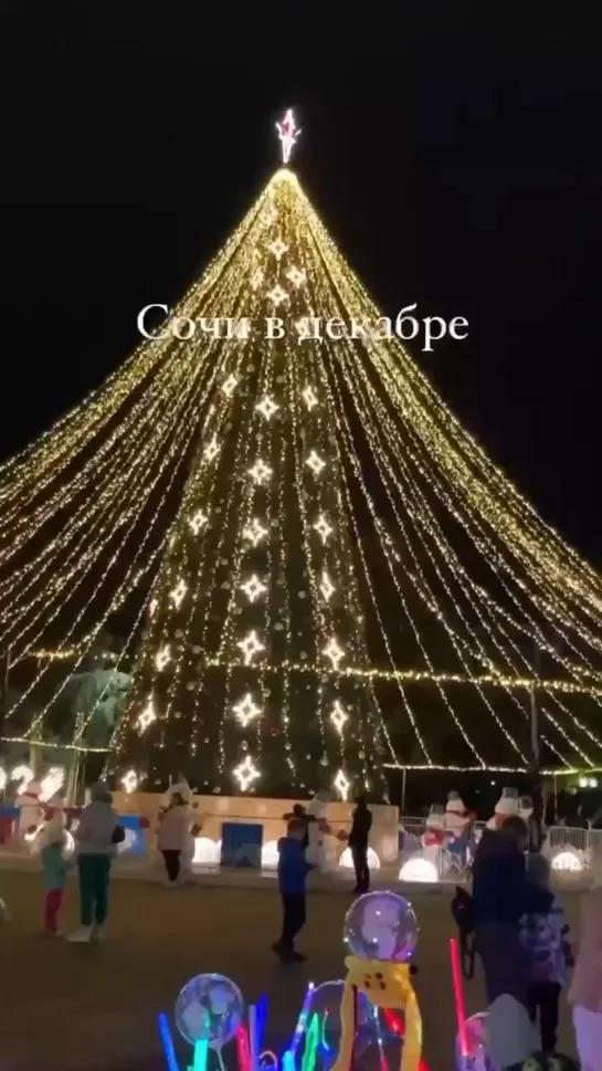 Видео от Любимый Сочи