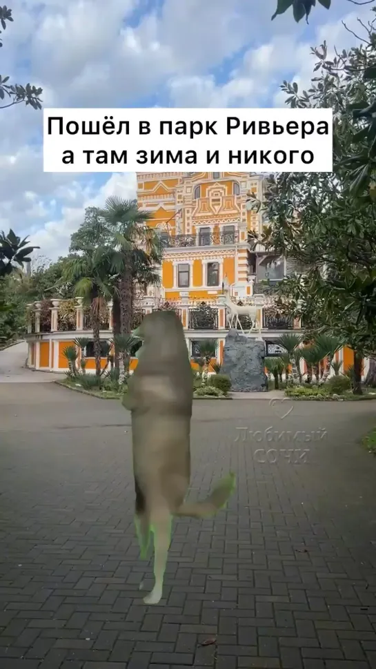 Видео от Любимый Сочи