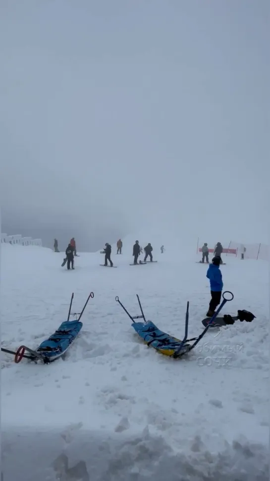 Видео от Любимый Сочи