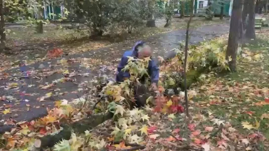 Видео от Любимый Сочи