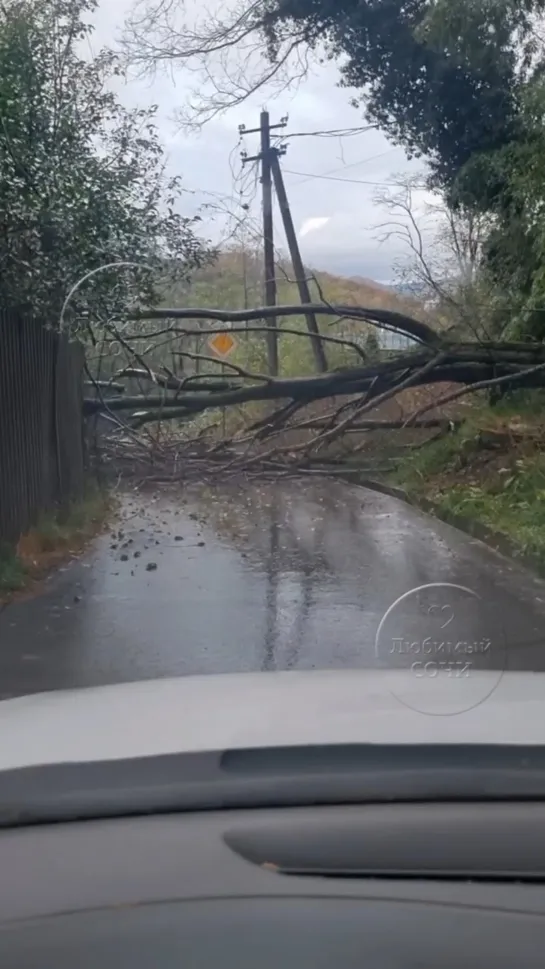 Видео от Любимый Сочи