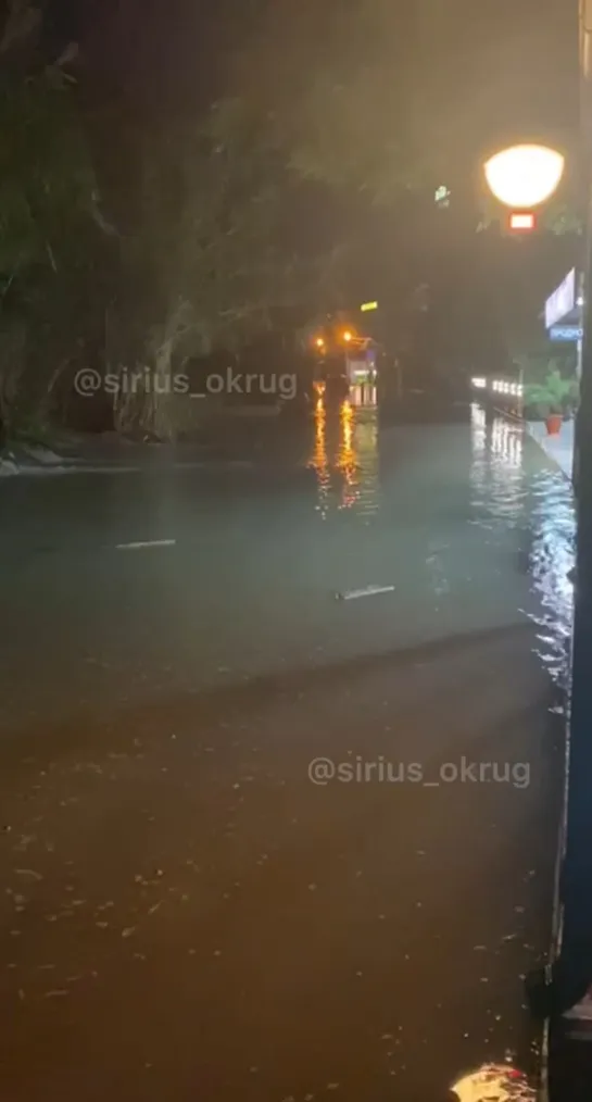 Видео от Любимый Сочи