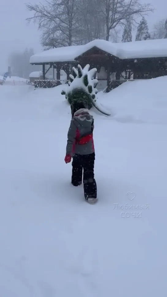 Видео от Любимый Сочи