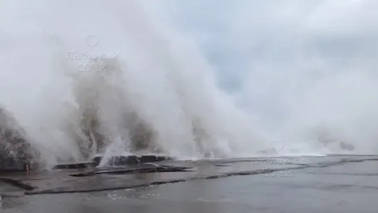 Видео от Любимый Сочи