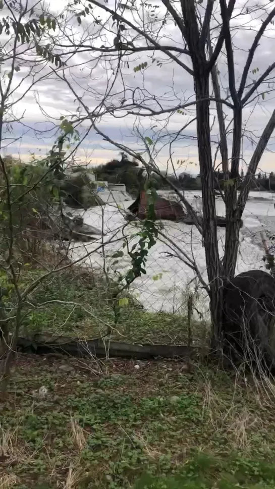 Видео от Любимый Сочи