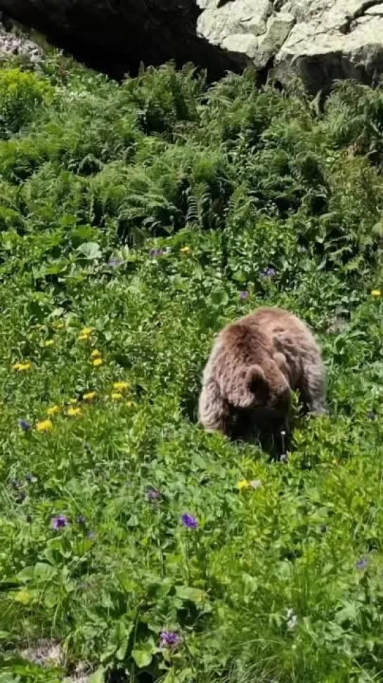 Видео от Любимый Сочи