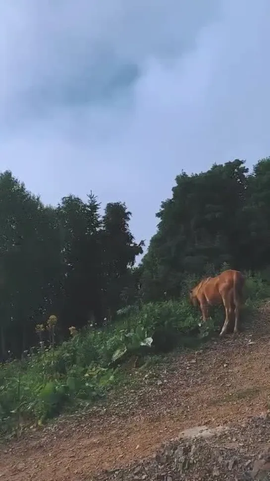 Видео от Любимый Сочи