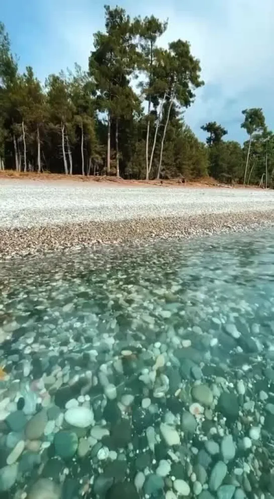 Видео от Любимый Сочи