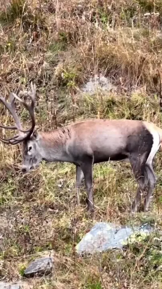 Видео от Любимый Сочи