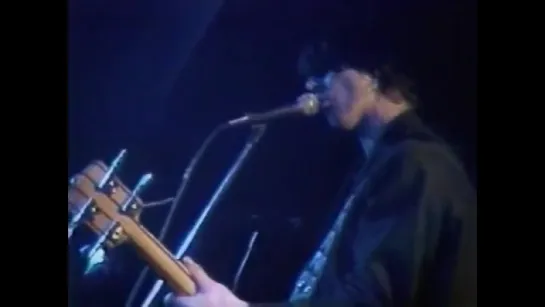 "The Chameleons"/ Live At The Hacienda Manchester-1983/