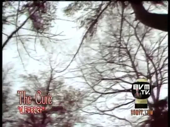 "The Cure" - A Forest (1980 )