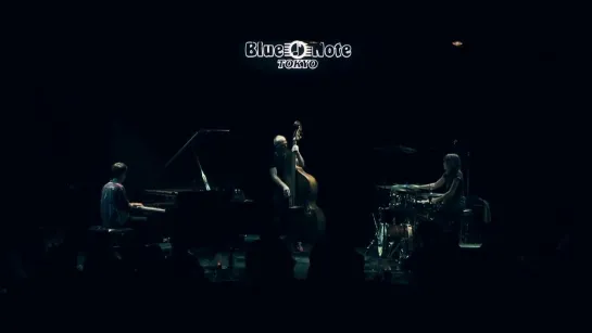 Avishai Cohen Trio - Below (Live at Blue Note Tokyo 2023)