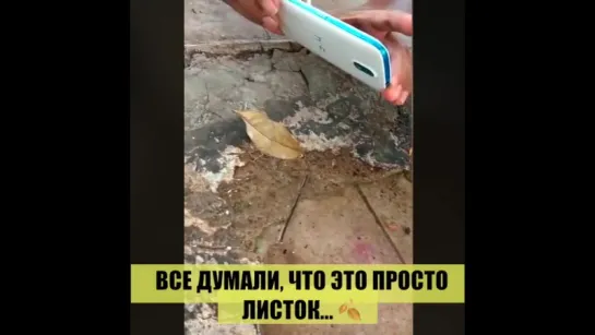 Видео от Эдуарда Таубе