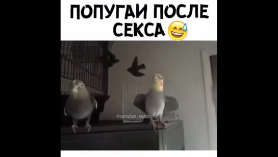 😂😂😂😂😂👍.Мужик