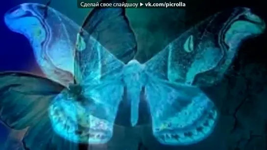 «Butterfly» под музыку  Классическая музыка. Д.Шостакович  - Прелюдия 5 (Скрипка и фортепиано) грустная, но очень красивая мелодия . Picrolla