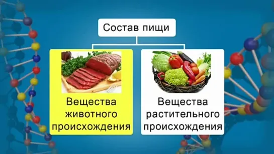 Биология. 8 класс. Урок 46. Регуляция пищеварения. Гигиена питания.