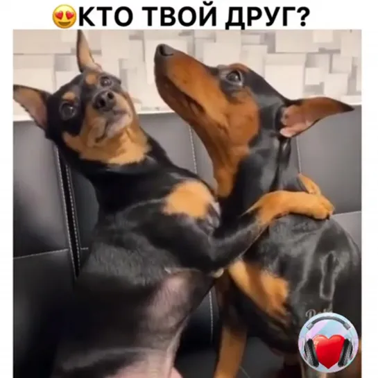 Какие же они хорошие!)))