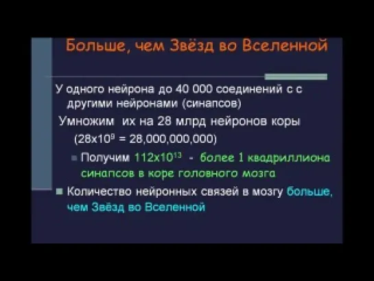 Почему изучение мозга займет центральное место в 21 веке?