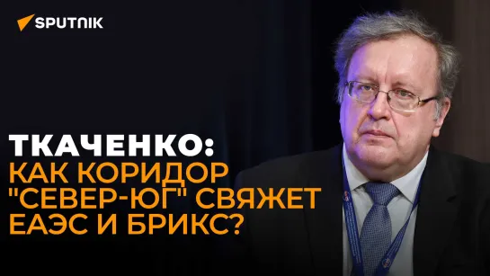 Экономист Ткаченко об итогах ВЭФ, развороте товарооборота на Восток и значении коридора "Север-Юг"