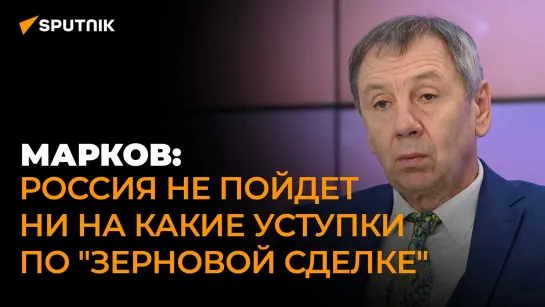 Политолог о секретной части переговоров в Сочи и совместных энергетических проектах России и Турции