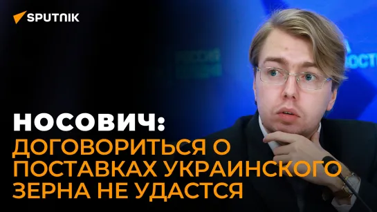 Экономист объяснил, почему страны Балтии не смогут предоставлять свои порты для украинского зерна