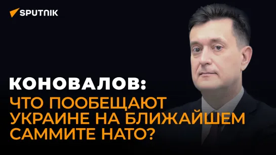 Военный эксперт о возможности ввода войск Польши и стран Балтии на Украину