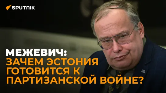 Межевич рассказал, почему именно Польша и Прибалтика стали антироссийским локомотивом Запада