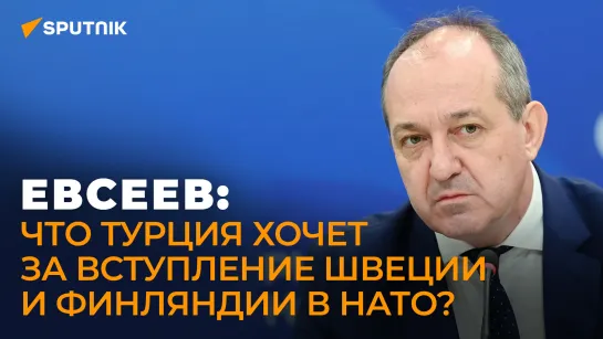 Евсеев: чего Турция хочет добиться в Сирии и почему вынуждена договариваться об этом с Россией?