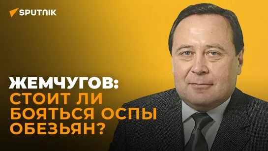 Новая пандемия? Иммунолог о том, откуда взялась оспа обезьян и насколько она опасна для человечества