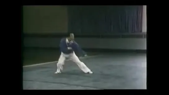 Yu Hai demonstrating