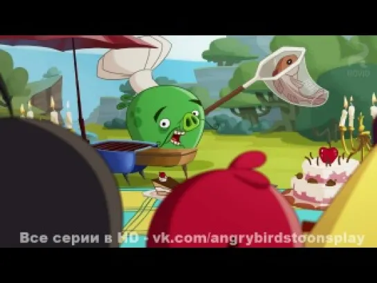 Angry Birds Toons 49 серия - Перемирие