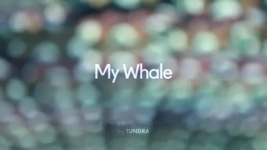 Tundra - My Whale