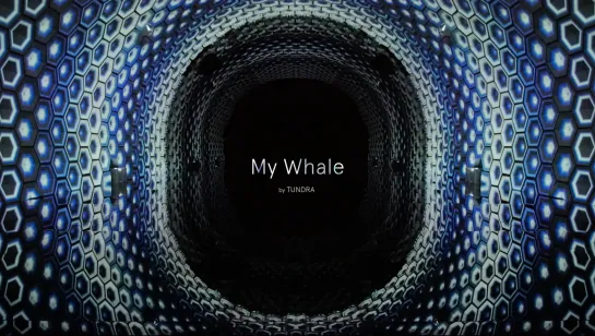 Tundra - My Whale (inner revision)