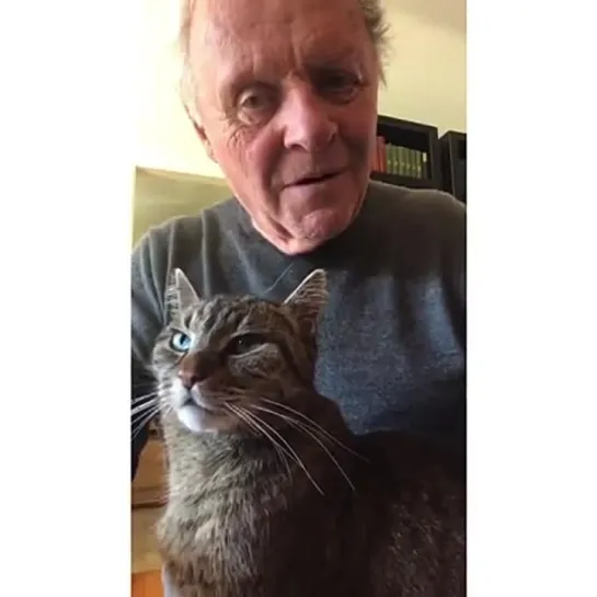 Anthony Hopkins with his cat Niblo