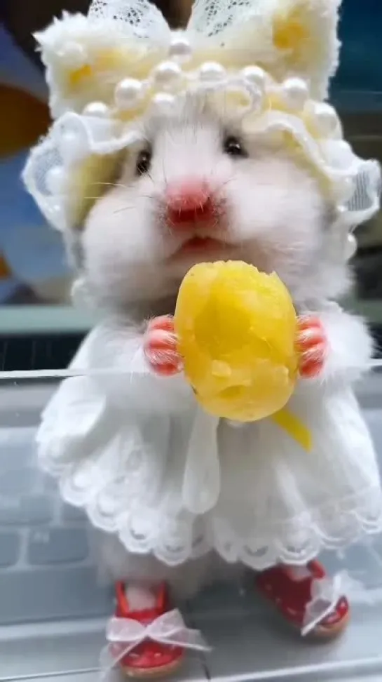 🐭 ммм... вкусняшка)