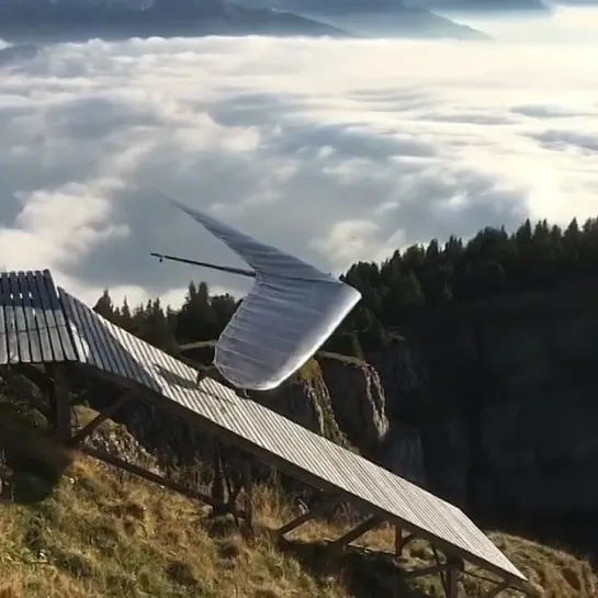 Wolfgang Siess, Switzerland / Paragliding