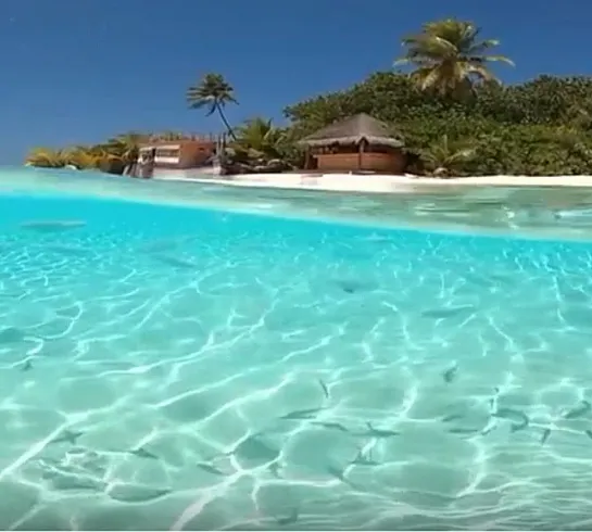 The Maldives