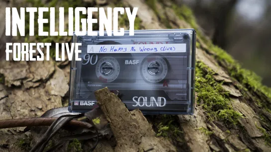 INTELLIGENCY - Forest LIVE