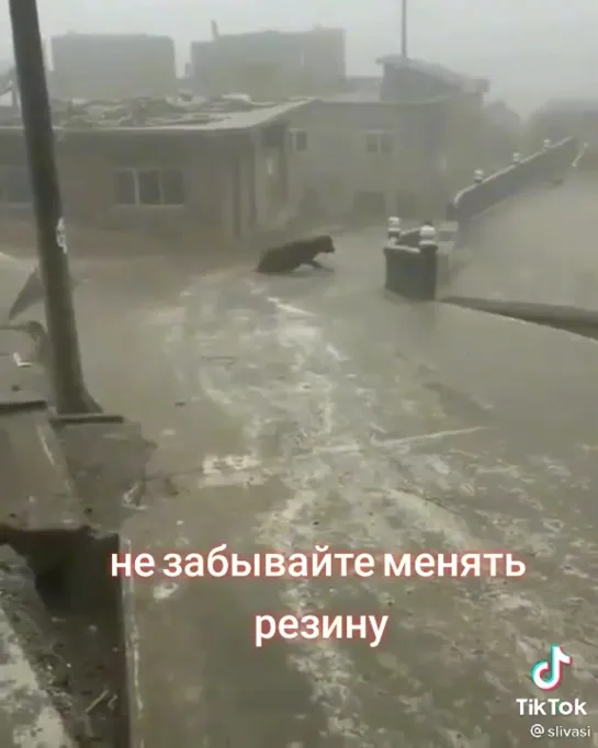 Видео от Чрезвычайные Происшествии