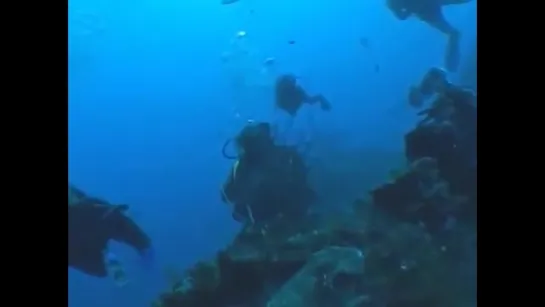 CUBA jardines de la reina diving promovideo